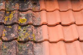 Roof Restoration Brooklyn