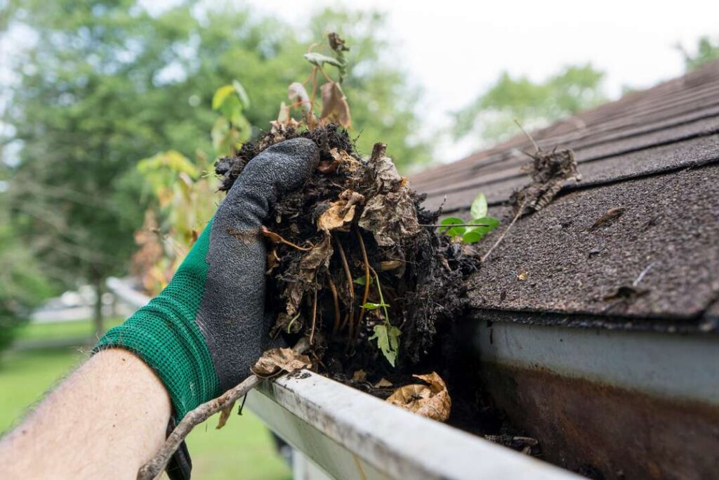 gutter cleaning Melbourne