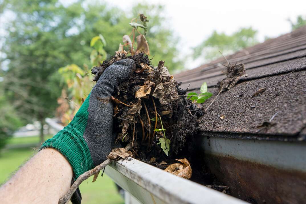 gutter cleaning Melbourne